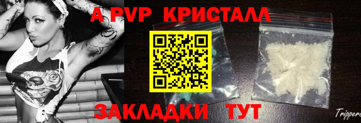 APVP СК Кострома