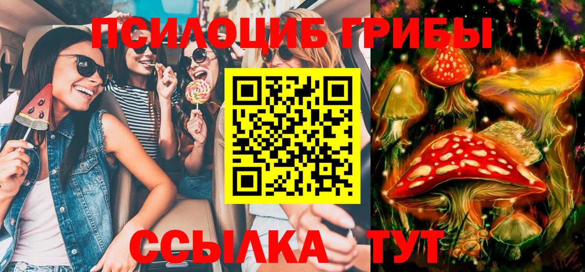 Кострома  Псилоцибиновые грибы ЛСД  Вход с VPN 