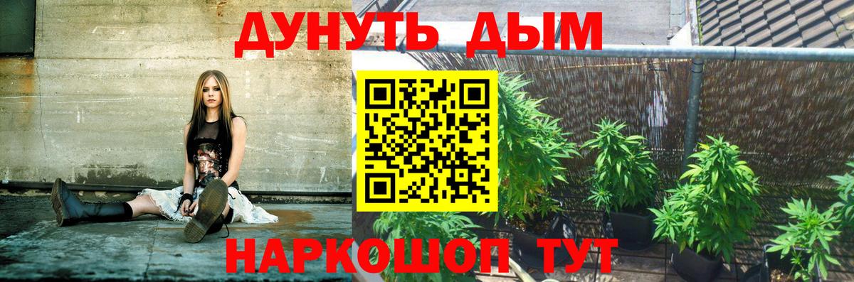 Кострома  Шишки марихуана Bruce Banner  Вход с VPN  МАРИХУАНА ГИДРОПОН  Шишки марихуана White Widow 